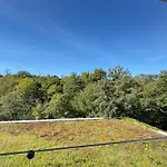 Prywatny 329 W Diune * コウォブジェク