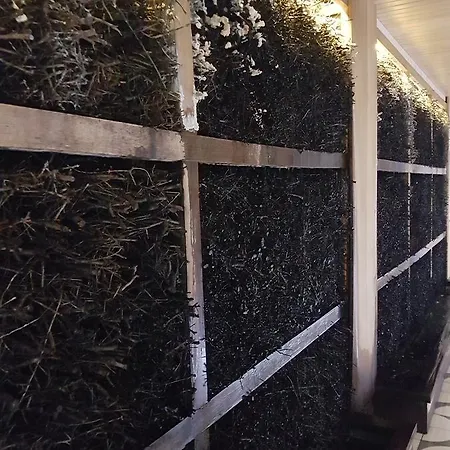 Prywatny 329 W Diune * Kołobrzeg